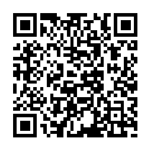 Y7twe60ezp8cx4oe7w5gnlz5d8t7sc9.info QR code