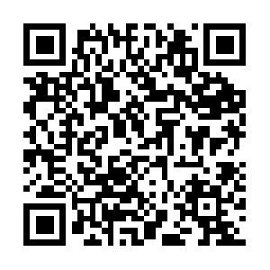 Yenioznesilgidayenineslintercihi.com QR code