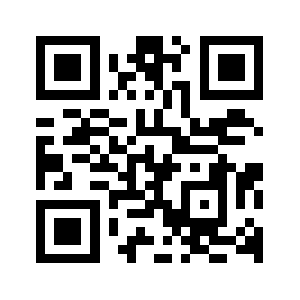 Your100vis.com QR code