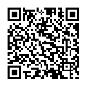 Yourcellphoneplansearchaustralia.net QR code