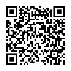 Yourshinycognitionto-stayinformed.info QR code