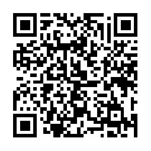 Ysbsqa-bf1-md-place-order-tc-199-2xy.net QR code