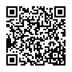 Ysbsqa-jmeter-duda-test-al-344564038.com QR code