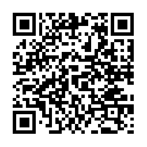 Ysbsqa-jmeter-duda-test-ed-6072231.com QR code