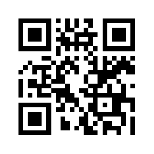 Z-vw.com QR code