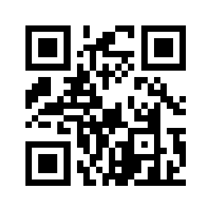 Z.arin.net QR code