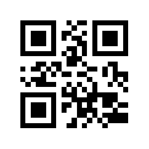 Zaidel QR code