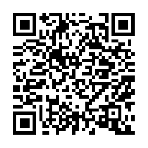 Zcgb64av03zw5qvz0cea.push-30.cdn77.com QR code