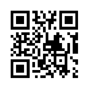 Zdns.google QR code