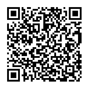 Zfeed-video-mcloud-bf-s5-te-vnno-vn-1.zadn.vn QR code