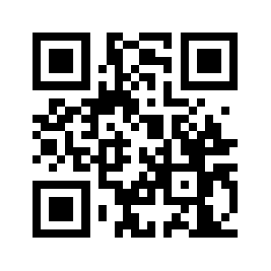 Zhuidao.biz QR code