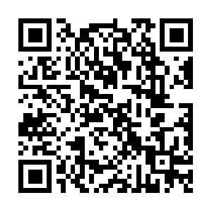 Zizisrunwaytheschoolofmodellingarts.com QR code