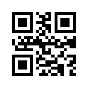 Zmt.biz QR code