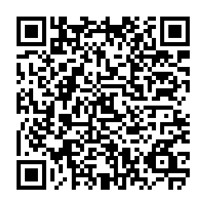 Zn01kcimngrmdi4qt-chegg.siteintercept.qualtrics.com QR code