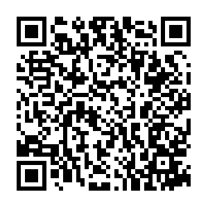 Zn5pa3o678l6shgtn-customer.siteintercept.qualtrics.com QR code