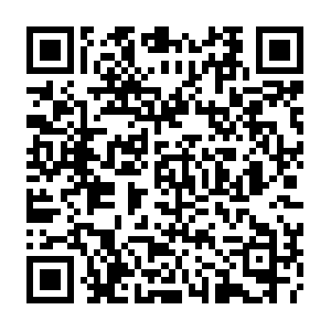 Znbovrduowqvhcbpd-logmeinvoc.siteintercept.qualtrics.com QR code