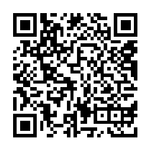 Znews-mcloud-bf-s2-te-vnno-zn-10.zadn.vn QR code