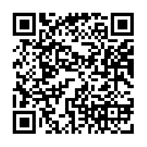 Znews-mcloud-mpl-s2-te-vnno-zn-2.zadn.vn QR code