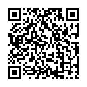 Zombiecatchers-data.s3.amazonaws.com QR code