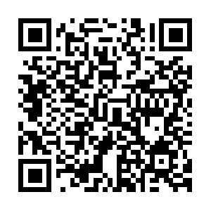 Zoutelandeopeningstijdenwinkels.com QR code