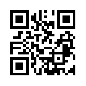 Zzstgy.com QR code